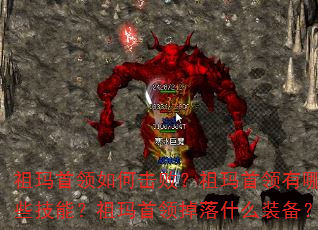 ����������λ��ܣ�������������Щ���ܣ������������ʲôװ����