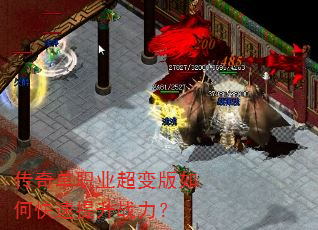 ���浥ְҵ�������ο�������ս����