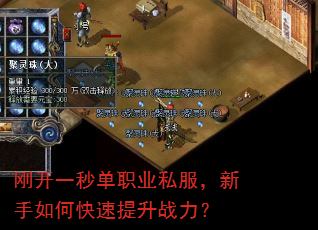 �տ�һ�뵥ְҵ˽����������ο�������ս����