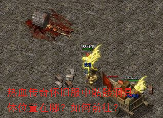��Ѫ���滳�ɷ������ö�����λ�����ģ����ǰ����