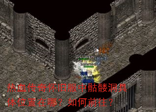 ��Ѫ���滳�ɷ������ö�����λ�����ģ����ǰ����