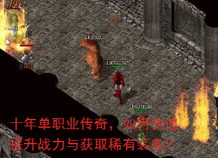 ʮ�굥ְҵ���棬��ο�������ս�����ȡϡ��װ����