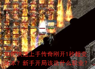 ��ο������ִ���տ�1�볬��汾�����ֿ��ָ�ѡʲôְҵ��