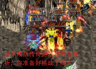 ������ָ������Ϸ����ȫ��������׼������ս����