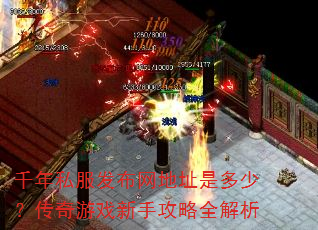 ǧ��˽����������ַ�Ƕ��٣�������Ϸ���ֹ���ȫ����