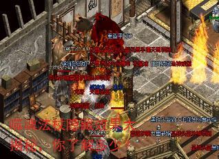 �ɻ귨������Ч������أ����˽���٣�