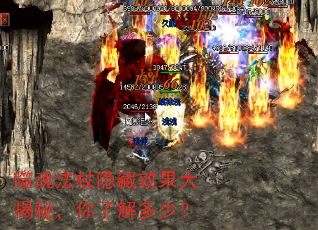 �ɻ귨������Ч������أ����˽���٣�