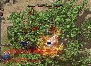 �����ս����а��ǯ�����ǿ��boss��