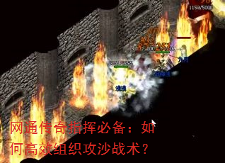 ��ͨ����ָ�ӱر�����θ�Ч��֯��ɳս����